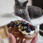 バックシュトゥーベ ツオップ - 