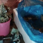 大衆居酒屋 魚炭 - 