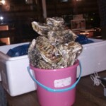 大衆居酒屋 魚炭 - 