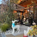 シュウタクカフェ - 