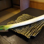 柚木元 - まっすぐに育てた！松本一本ネギ