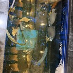 玄海の活魚と糸島直送の食 博多居酒屋 どげん海 - 