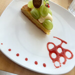 ドレモルタオ - 