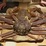 334328490 - 本日の主役級素材越前蟹