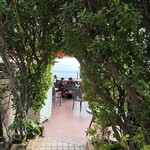 アマルフィイ デラセーラ - 