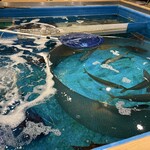 うず潮屋 関内店 - 生簀前カウンター席