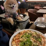 PIZZA＆CAFE TANTON - 