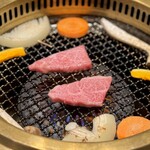 イトーロイン - 