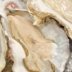 海老牡蠣酒場だるま - 