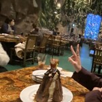 レインフォレストカフェ・トーキョー - 