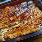 正徳寺温泉 初花 - 