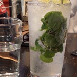 アボットチョイス - 