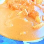 やぶ善 - 玉葱、人参、じゃがいも、豚バラ入り"カレー"。