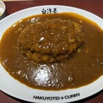 旨辛カレー専門店 白洋亭 - カツカレールー大
