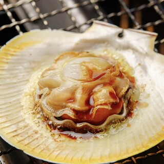 さつま居酒屋 えご家_1