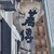 蕎傳 - その他写真:看板