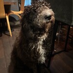 イノチェンテ - 