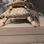 三亀 - 亀。かわいい。