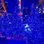 ワカヌイ グリル ダイニング バー 東京 - 