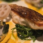 Wine厨房　tamaya - 