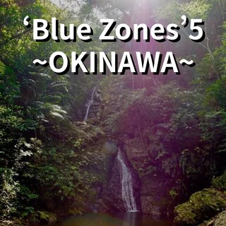 世界自然遺産沖縄の名水〈七滝の天然水〉〜出汁へのこだわり〜