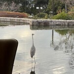 ロダンテラス - 