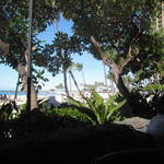 Tropics Bar & Grill - 