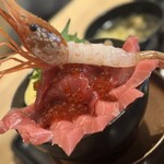 札幌海鮮丼専門店 すしどんぶり - 