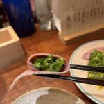 三茶 ユキツバキ - 