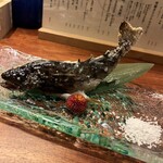 三茶 ユキツバキ - 