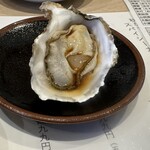 かきのおきて - 