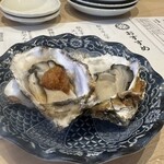 かきのおきて - 