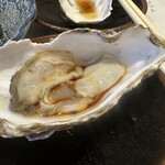 かきのおきて - 