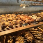 パンストック 天神店 - 