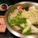 豆金魚 - 