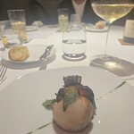 レフェルヴェソンス - 