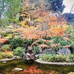 中国料理 四川 - 