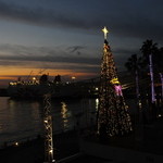 Kurogewagyuudainingu You - 大阪南港ＡＴＣの海辺のステージに高さ約13ｍの光輝くクリスマスツリーが登場
