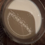 赤坂 Na Camo guro - 