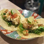 創作酒場スタンドKO-NEKO - 