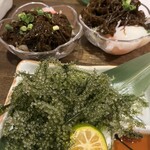 しゃぶしゃぶと島豚料理 みなみ - 海ぶどう