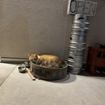 トラットリア サッチ - 