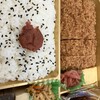 とんかつ まい泉 日本橋三越店