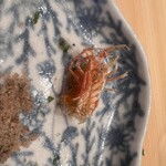 お料理 さいとう - 