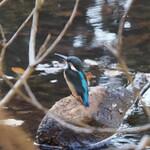 ガーデンテラス東山 - 