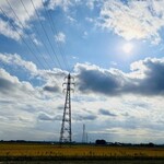 青竹手打ちラーメン いなみ - 