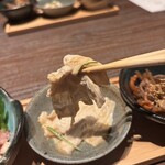 modern Japanese AMANE - 