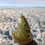 SKY GARDEN 300 - 