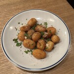 gnudi - 