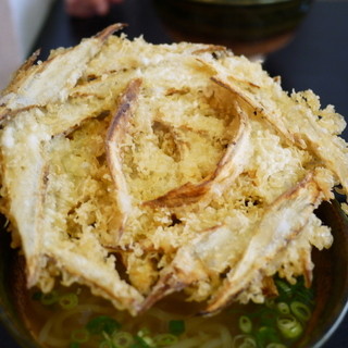 大地のうどん_1